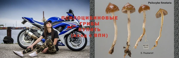 MDMA Premium VHQ Аркадак