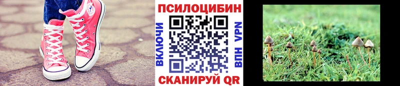 Галлюциногенные грибы Cubensis  mega маркетплейс  Ковылкино  где купить наркоту 